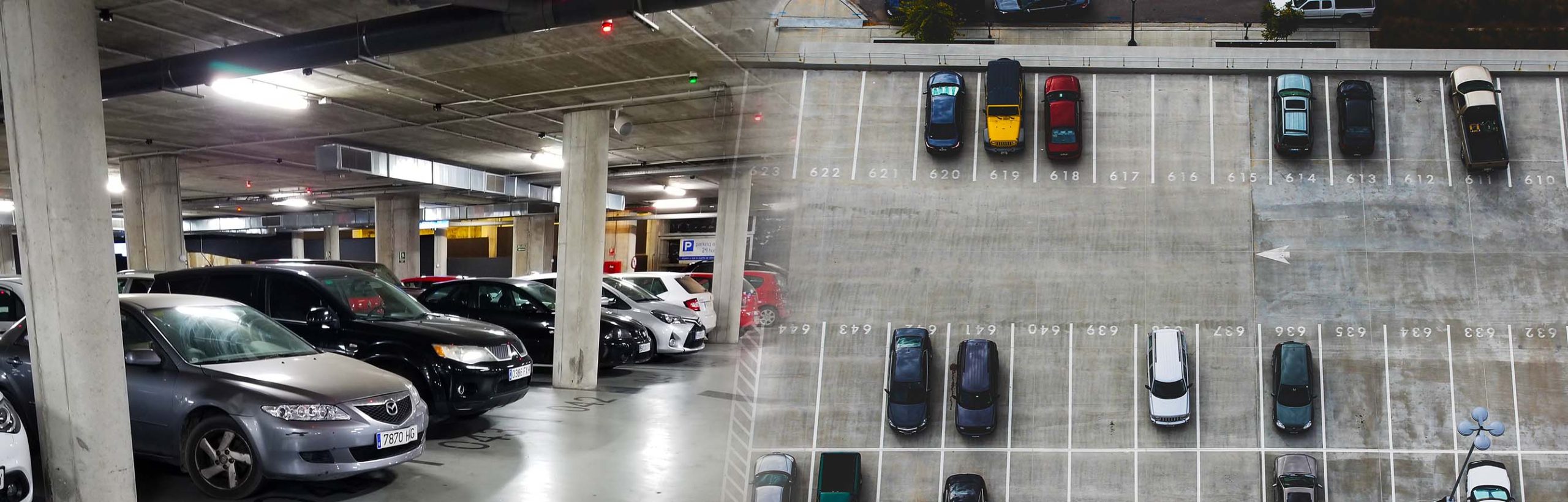 AI Parking Assist